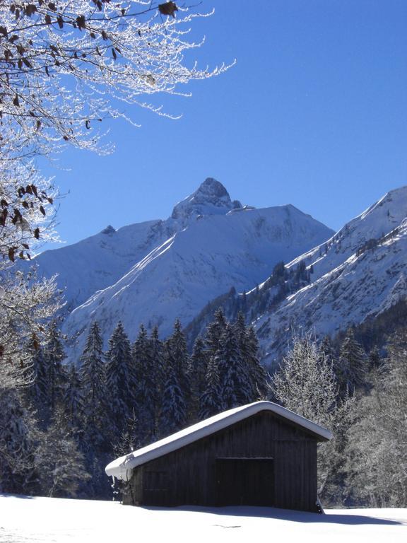 Landhaus Berktold Obermaiselstein Ngoại thất bức ảnh