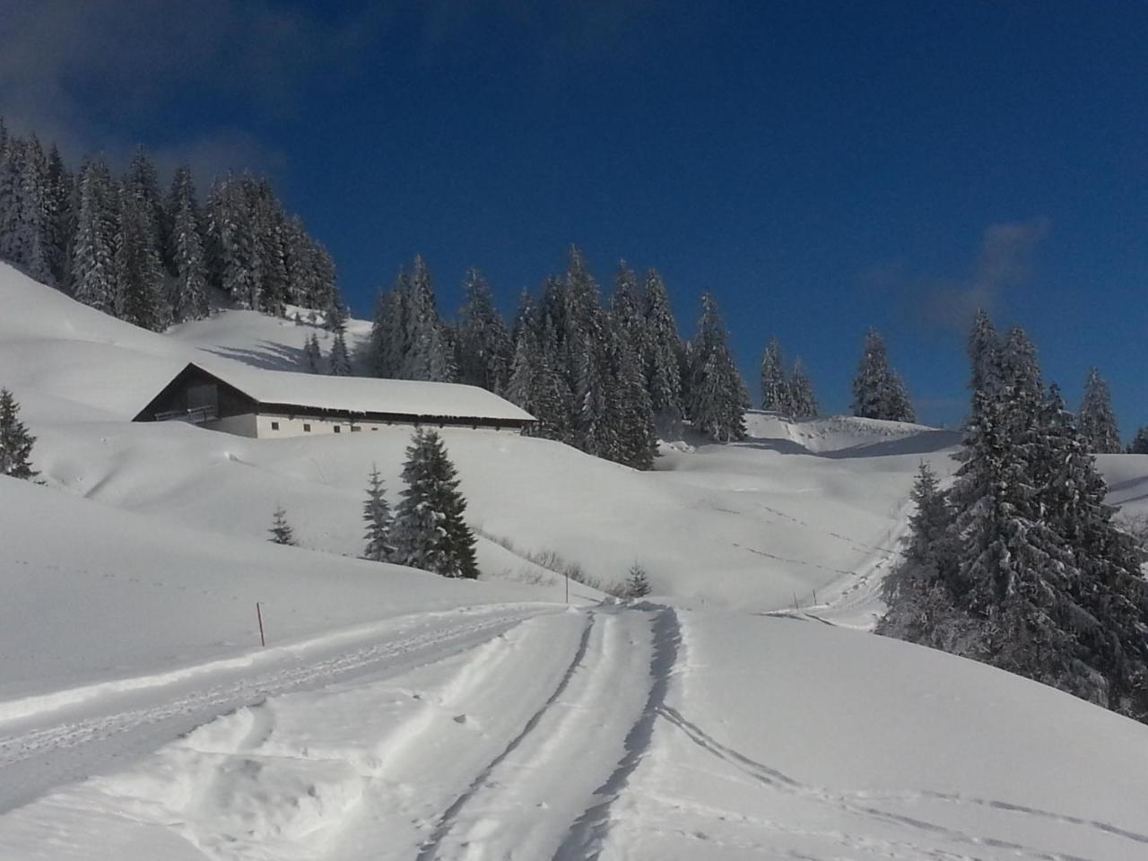 Landhaus Berktold Obermaiselstein Ngoại thất bức ảnh